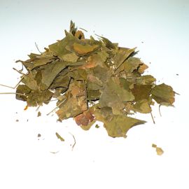 картинка Гинкго-Билоба+Вербена (листья+трава) от магазина