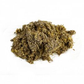 картинка Сушеница топяная (трава) от магазина