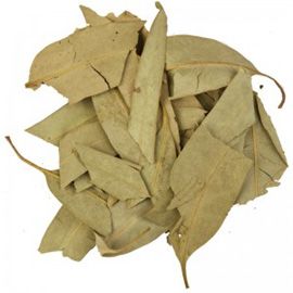картинка Эвкалипт прутьевидный (лист) от магазина