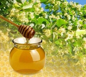 Чем полезен настоящий липовый мед